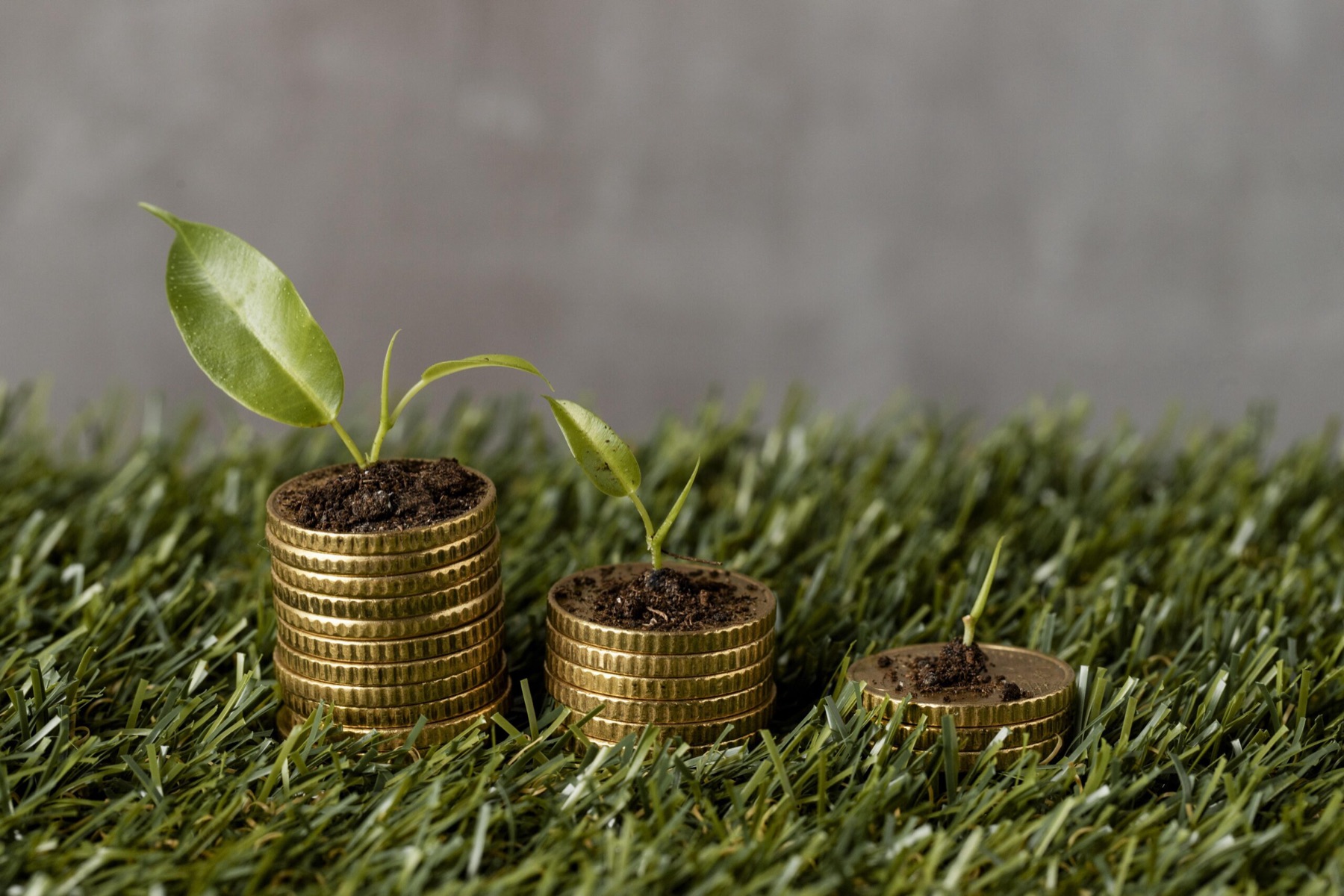 Stacked coins beside a growing seedling, representing long-term investment growth